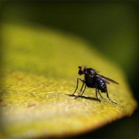 /album/nhgiqmjm/photolia-a07-jpg/